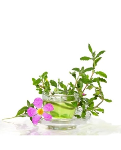 Cistus herb
