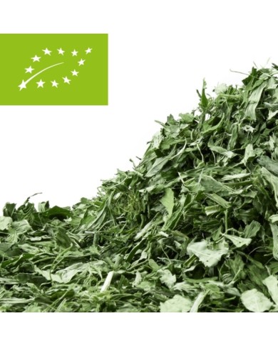 Cistus herb