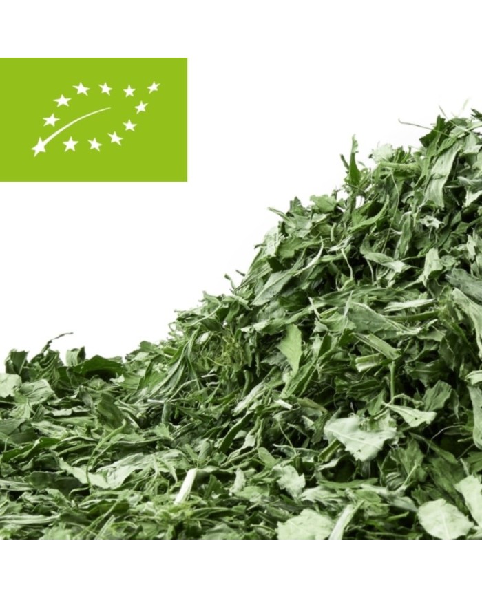 Cistus herb