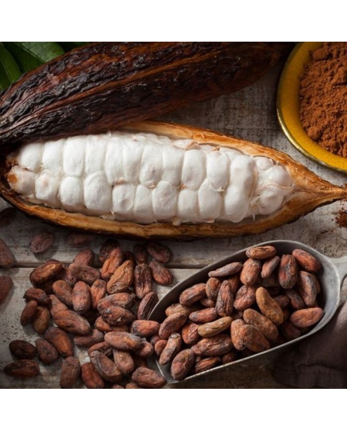 Unroasted cocoa beans Akesson Brazílie Forastero Raw