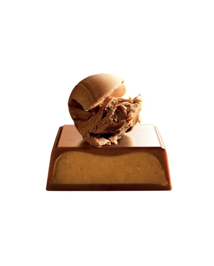 J.Galler - Milk chocolate Praliné Lait
