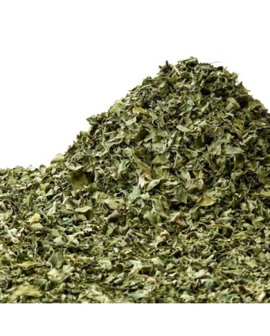 Moringa leafs