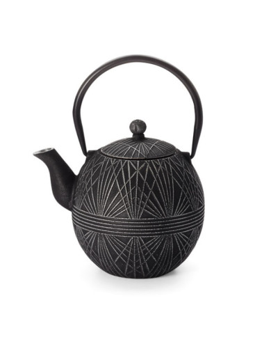 Iron teapot Hua
