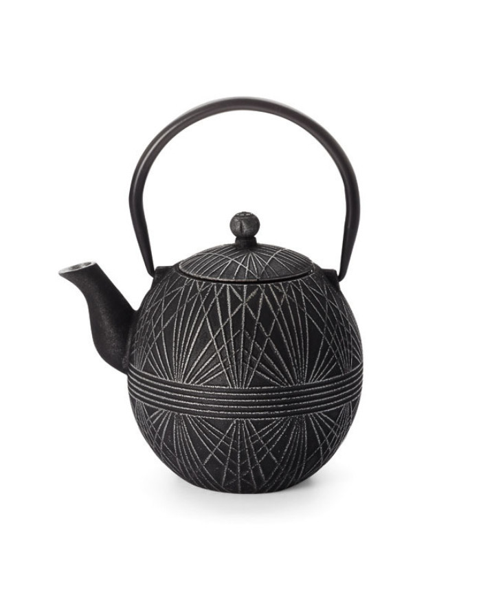 Iron teapot Hua