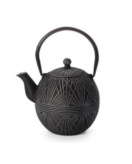 Iron teapot Hua