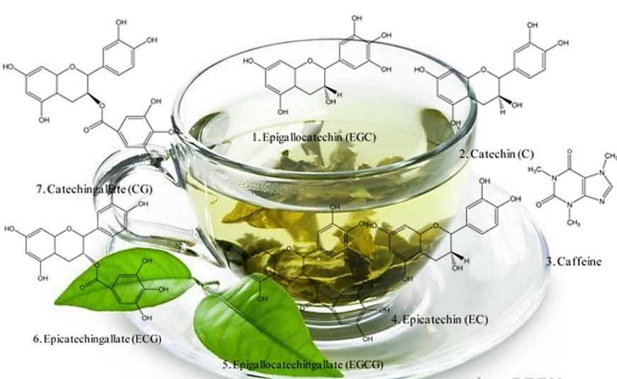 Chemical Compounds in Tea